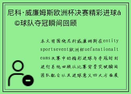 尼科·威廉姆斯欧洲杯决赛精彩进球助球队夺冠瞬间回顾