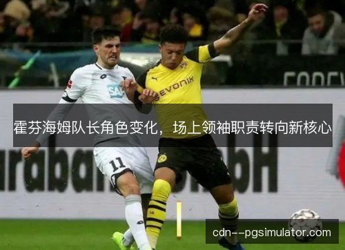 霍芬海姆队长角色变化,场上领袖职责转向新核心 霍芬海姆队长角色变化,场上领袖职责转向新核心