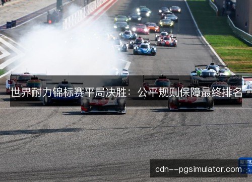 世界耐力锦标赛平局决胜：公平规则保障最终排名
